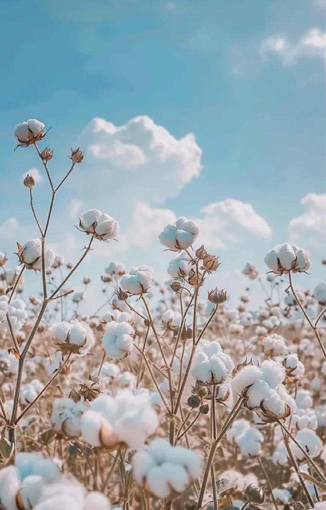 面料毛巾！我们低价搞到了AG真人某东来刚上架的同(图7)