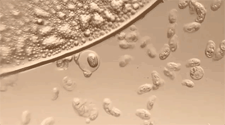 面料毛巾！我们低价搞到了AG真人某东来刚上架的同(图9)