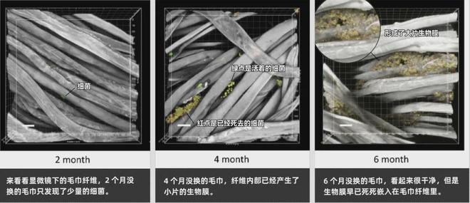 面料毛巾！我们低价搞到了AG真人某东来刚上架的同(图11)